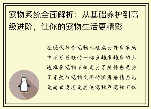 宠物系统全面解析：从基础养护到高级进阶，让你的宠物生活更精彩